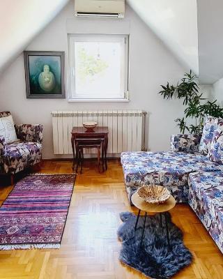 Dina cozy apartment