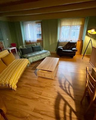 Historische Maisonettewohnung bis 9 Gäste, Magic Pass Belalp, Rosswald und mehr