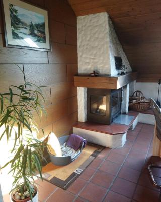 Aussergewöhnliche Atelierferienwohnung mit Balkon an der Donau