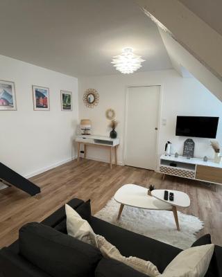 STUDIO SCANDINAVE - HYPER CENTRE LORIENT