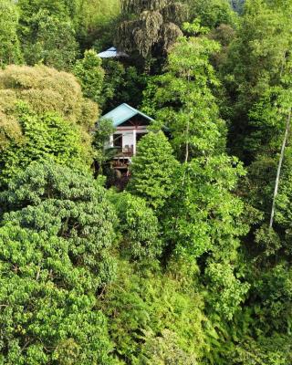 Sinharaja Rest