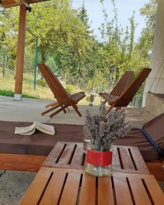 Tara Suncani sjaj-planinska kuca
