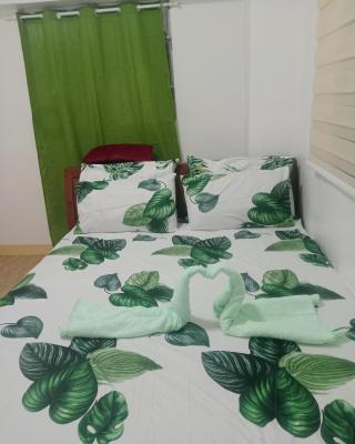 Mactan Oasis gardens condominium