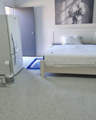 Trugnina garage converted in room