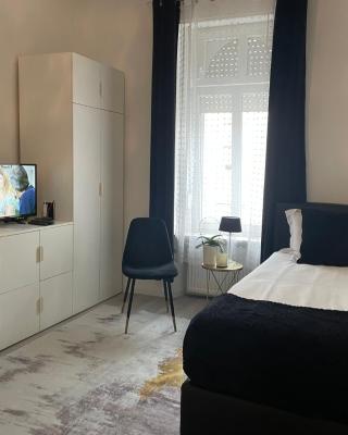 EXECUTIVE SINGLE ROOM WITH EN-SUITE in GUEST HOUSE CITY CENTRE
