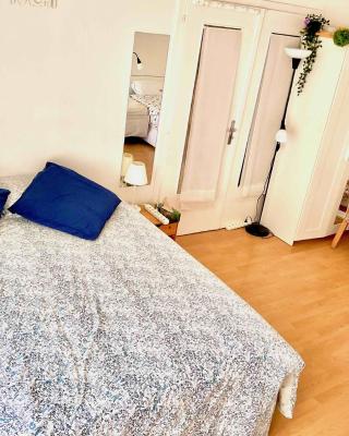 Chambre chez l'habitant en hyper centre à Strasbourg