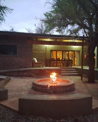 The Hedgehog at Marloth Park