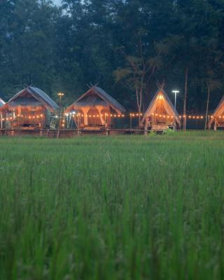 Paddy Fields Haven - Natures Nest