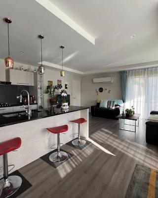 Wigram sunny quiet home