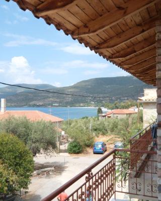 Central Apartments
