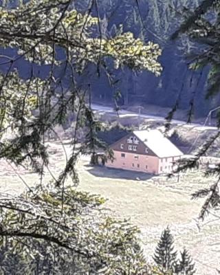 Domaine Des Hauts Viaux