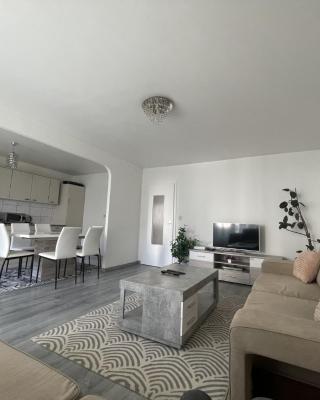APPARTAMENT 85m2 A 5KM DE BASEL AU 1ERE ETAGE DANS UN CARTIER TRES CALME