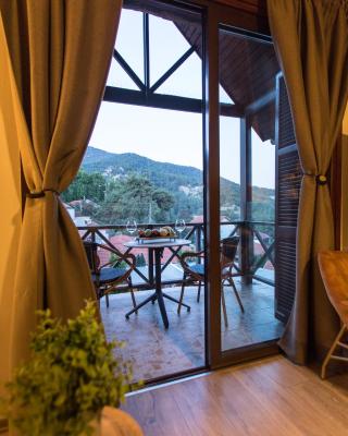 Cozy mountain apartment in Platres