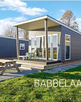 Chalet Babbelaar 6 - premium locatie