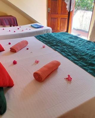 NEW SEA LION Guest House