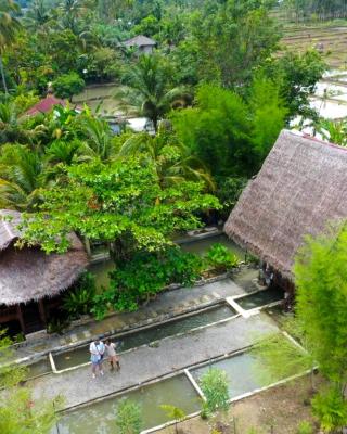 Tropical Jungle lodge & Jungle trekking