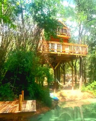 Waterfront Treehouse in a Magical Forest