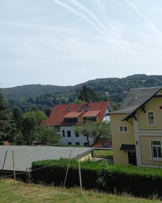 Ferienwohnung Finkenberg
