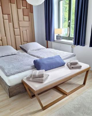 Gemütliche zentrale Wohnung in Zwickau
