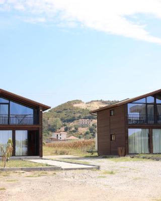 Posh villa 2
