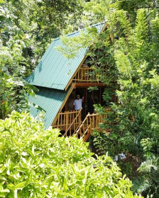 Eco Village