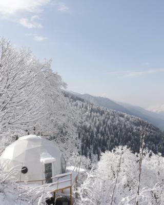 GlampEco Manali