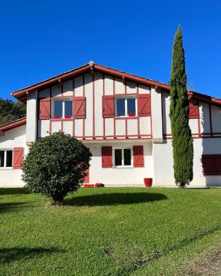 XOKO GORRI