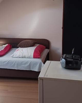 Central apartman