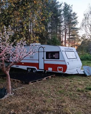 Santa's winter Caravan-Kabe Royal