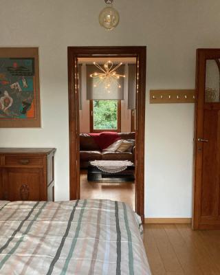 Nice flat near Brussels