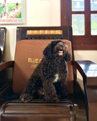 Blue Clouds Homestay