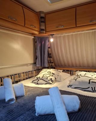 Elves Cabin Wagon