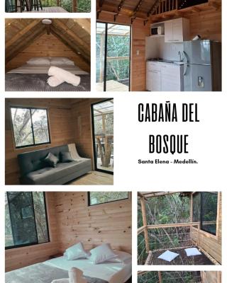 Cabaña Del bosque