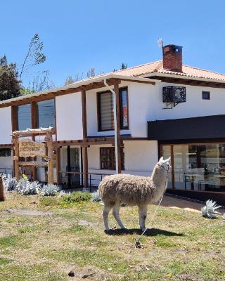 La Maison d'Urbina