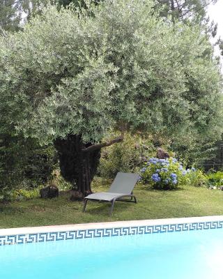 Brin d Ardèche