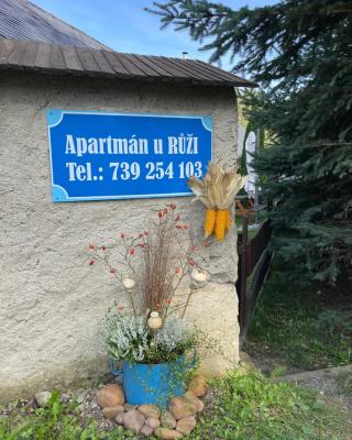 Apartmán U Růži