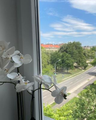 Torony Apartman Hódmezővásárhely