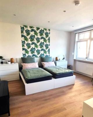 Wohnung Donau - im Zentrum, Küche, Parkplatz, ruhig gelegen