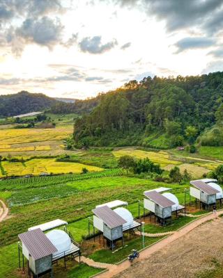 สวนไร่รุ่งอรุณ Suan Rai Rungarun