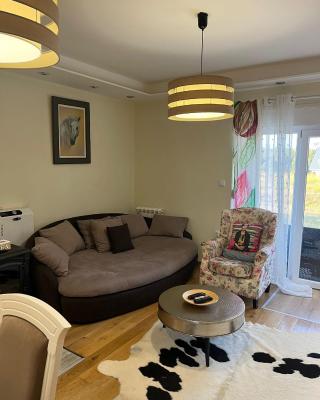 Apartman Jana 1