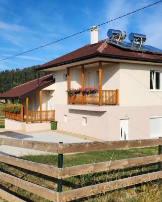 Kuća sa lepim pogledom - porodica Čolović