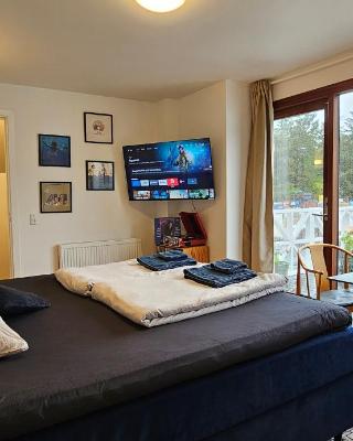 Olsson B&B