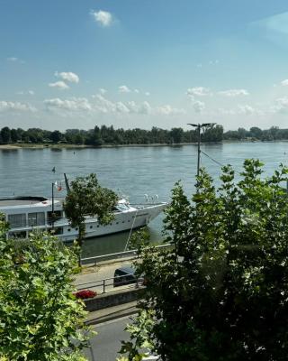 Rhein-Hotel Nierstein