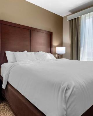 Comfort Suites Plano - Dallas North