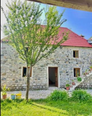 Bujtina Lokthi