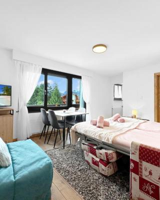 Cosy Nest -Nendaz - 4 Valleys - Swiss Alps