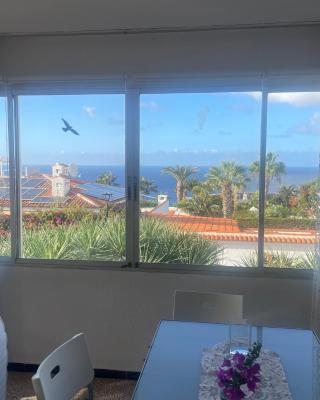 Teide & Atlantic View