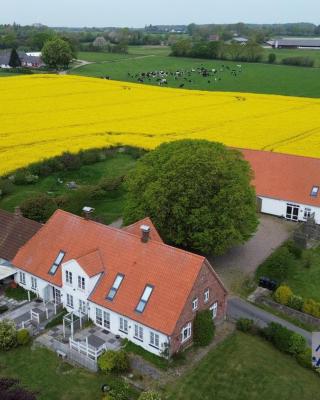 Fjordvejen Apartments