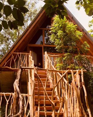 Angry Birds Tree house
