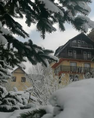 Pensiunea Vladis